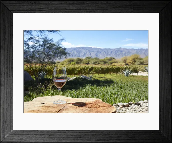 Framed Print : A glass of Malbec wine with the vineyards of Bodega Colomein the background Framed Print : A glass of Malbec wine with the vineyards of Bodega Colomein the background