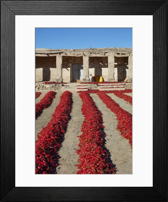 Framed Print : Red peppers left to dry in the sun in front of an old house near Payogasta Framed Print : Red peppers left to dry in the sun in front of an old house near Payogasta