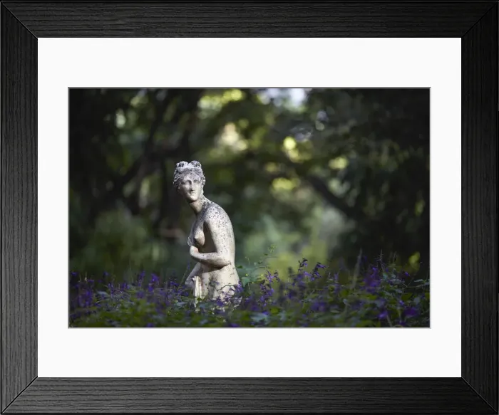 Framed Print : Venus, one of the sculptures of the Botanical Garden Carlos Thays Framed Print : Venus, one of the sculptures of the Botanical Garden Carlos Thays