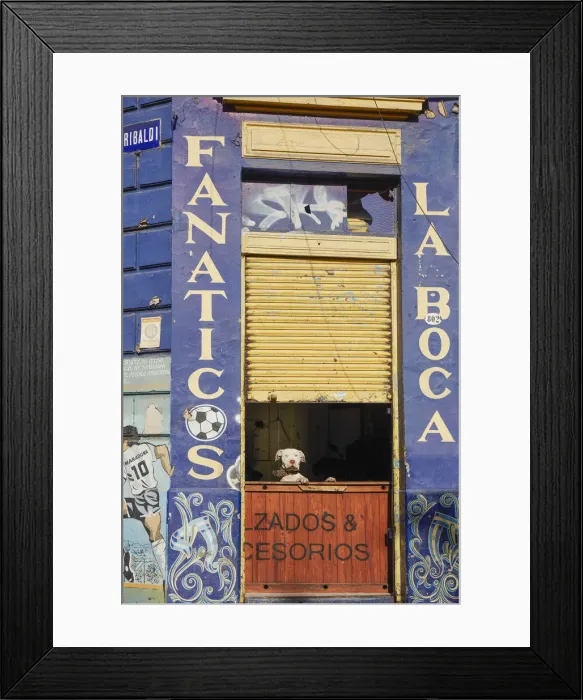 Framed Print : A dog standing at a corner of La Boca district beside a mural painting of Diego Armando