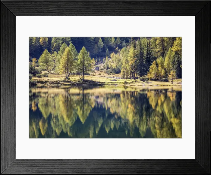 Framed Print : Autumn forest on Duisitzkarsee in the Schladming Mountains, Styria, Austria Framed Print : Autumn forest on Duisitzkarsee in the Schladming Mountains, Styria, Austria