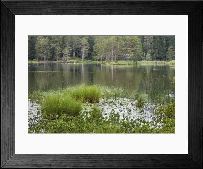 Framed Print : Maoserer See, Maosern near Telfs, Tyrol, Austria Framed Print : Maoserer See, Maosern near Telfs, Tyrol, Austria