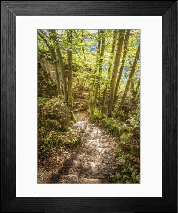 Framed Print : Staircase in the Nature Parc de Furfooz near Dinant, Namur, Belgium Framed Print : Staircase in the Nature Parc de Furfooz near Dinant, Namur, Belgium