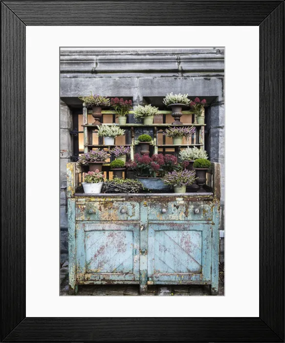 Framed Print : Belgium, Flanders, Ghent, Dried flowers decoration in Graslei Framed Print : Belgium, Flanders, Ghent, Dried flowers decoration in Graslei