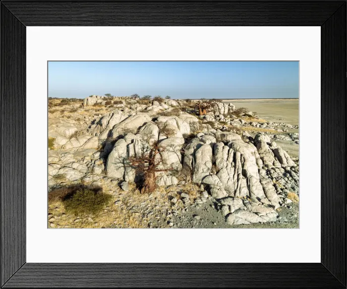 Framed Print : Baobab Tree, Makgadikgadi Salt Pans, Botswana Framed Print : Baobab Tree, Makgadikgadi Salt Pans, Botswana