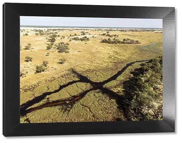 Aerial view of Okavango Delta, Botswana