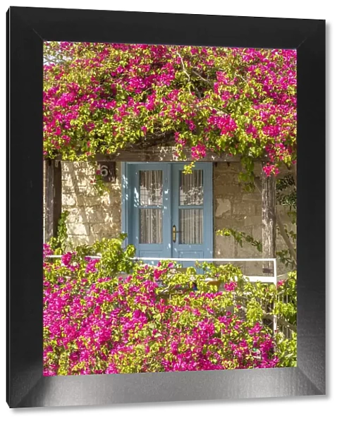 Door framed by colourful flowers in Tochni, Limassol, District, Cyprus