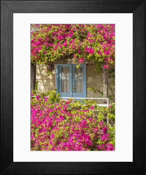 Framed Print : Door framed by colourful flowers in Tochni, Limassol, District, Cyprus Framed Print : Door framed by colourful flowers in Tochni, Limassol, District, Cyprus
