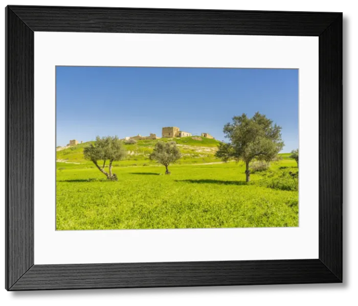 Framed Print : The abandoned village of Petrofani, Athienou, larnaca District, Cyprus Framed Print : The abandoned village of Petrofani, Athienou, larnaca District, Cyprus