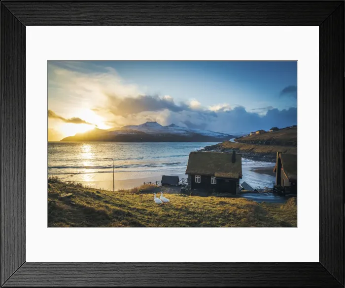 Framed Print : A couple of geese in front of turf houses in Leynar. Streymoy, Faroe Islands Framed Print : A couple of geese in front of turf houses in Leynar. Streymoy, Faroe Islands