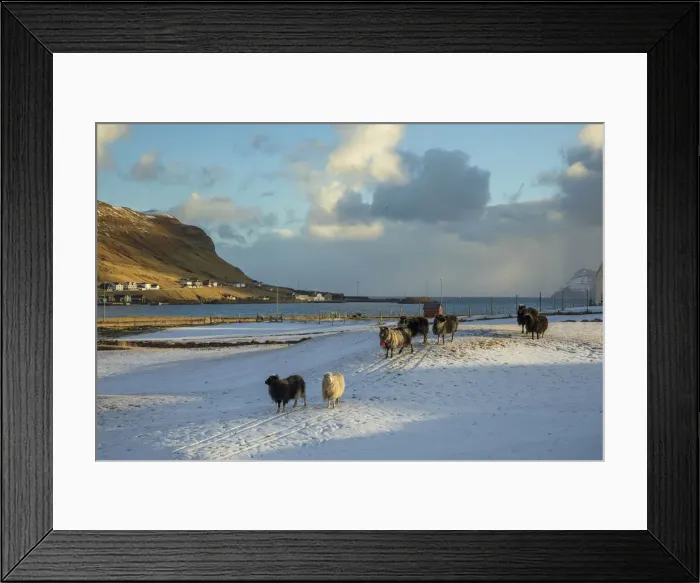 Framed Print : The village of Hvalba covered by snow. Suðuroy, Faroe Islands Framed Print : The village of Hvalba covered by snow. Suðuroy, Faroe Islands