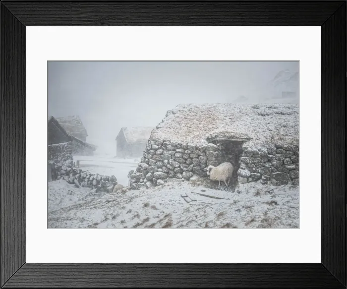 Framed Print : Heavy snowfall in the village of Saksun. Streymoy, Faroe Islands Framed Print : Heavy snowfall in the village of Saksun. Streymoy, Faroe Islands