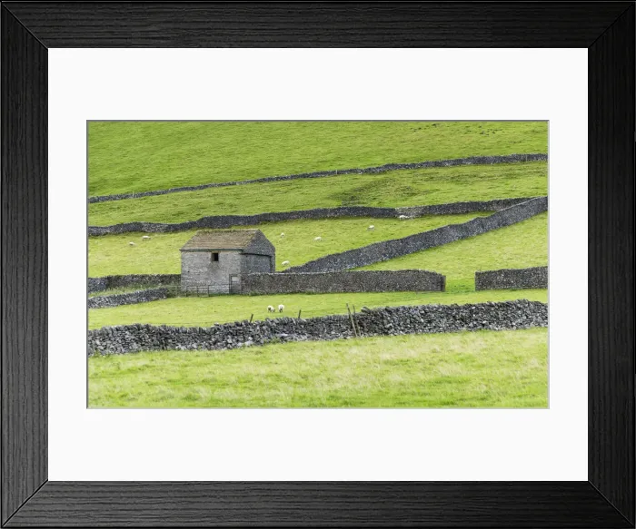 Framed Print : Barn and dry stone walls near Castleton, Peak District National Park, Derbyshire, England Framed Print : Barn and dry stone walls near Castleton, Peak District National Park, Derbyshire, England