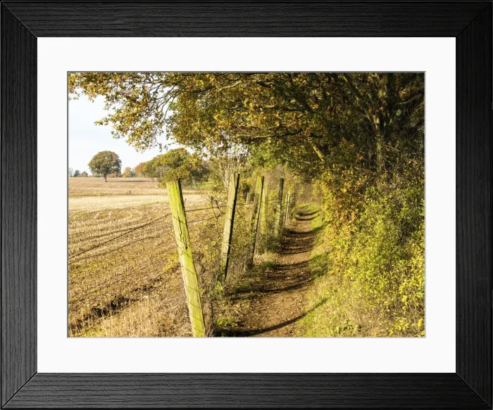 Framed Print : A path in Darlands Nature Reserve, Borough of Barnet, London, England Framed Print : A path in Darlands Nature Reserve, Borough of Barnet, London, England