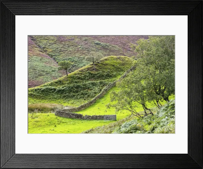 Framed Print : Peak District National Park, Derbyshire, England Framed Print : Peak District National Park, Derbyshire, England