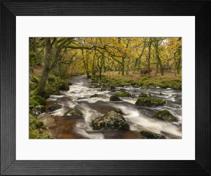 Framed Print : Autumnal foliage in Cadworthy Wood on the banks of the River Plym, Dartmoor National Park