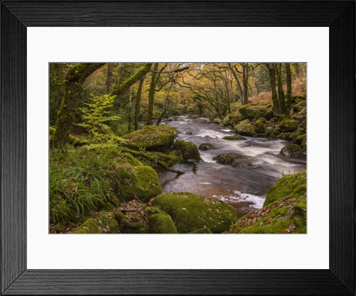 Framed Print : Autumn foliage along the banks of the River Plym in Dewerstone Wood Framed Print : Autumn foliage along the banks of the River Plym in Dewerstone Wood