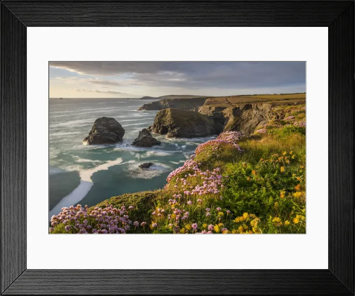 Framed Print : Spring wildflowers on the dramatic clifftops of North Cornwall, England Framed Print : Spring wildflowers on the dramatic clifftops of North Cornwall, England