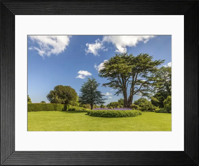 Framed Print : Nymans Garden at Haywards Heath, West Sussex, England Framed Print : Nymans Garden at Haywards Heath, West Sussex, England
