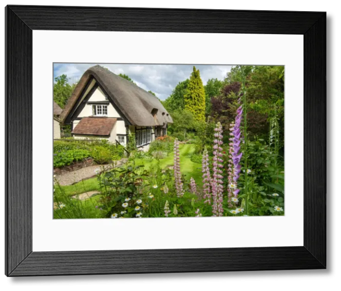Framed Print : Thatched Cottage & Garden, Eastnor, Herefordshire, England Framed Print : Thatched Cottage & Garden, Eastnor, Herefordshire, England