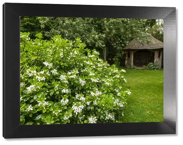 Thatched Summerhouse, Elton Hall Gardens, Elton, Cambridgeshire, England