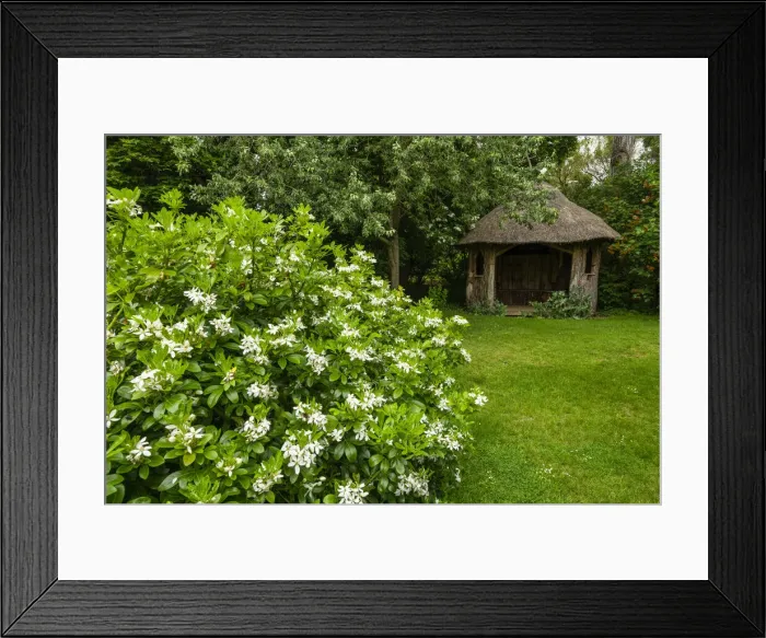 Framed Print : Thatched Summerhouse, Elton Hall Gardens, Elton, Cambridgeshire, England Framed Print : Thatched Summerhouse, Elton Hall Gardens, Elton, Cambridgeshire, England