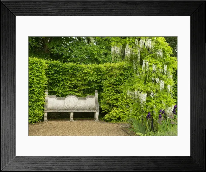 Framed Print : Bench & Wysteria, Elton Hall Gardens, Elton, Cambridgeshire, England Framed Print : Bench & Wysteria, Elton Hall Gardens, Elton, Cambridgeshire, England
