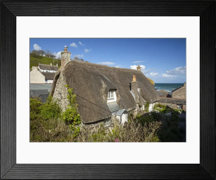 Framed Print : Traditional thatched cottage, Cadgewith Cove, Cornwall, England, UK Framed Print : Traditional thatched cottage, Cadgewith Cove, Cornwall, England, UK