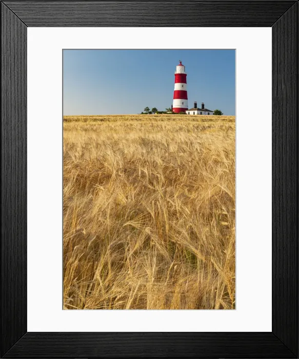 Framed Print : Happisburgh Lighthouse & Field of Wheat, Norfolk, England Framed Print : Happisburgh Lighthouse & Field of Wheat, Norfolk, England