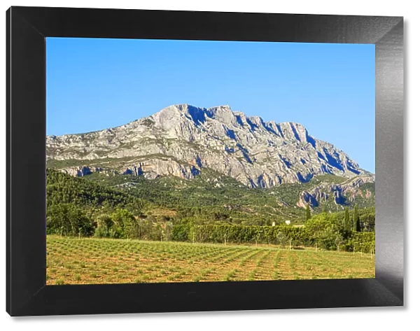 St. Victoire Mountains, Aix-en-Provence, Provence-Alpes-Cote d'Azur, France