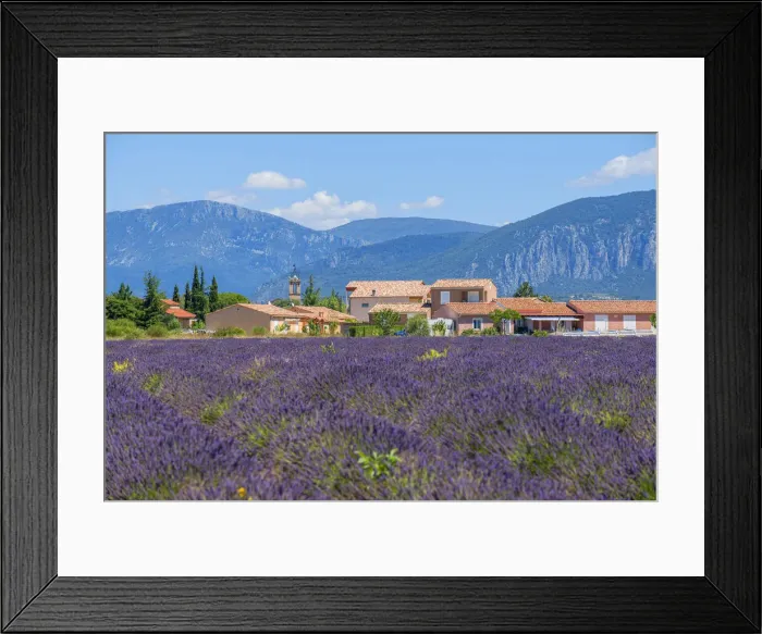 Framed Print : Lavender field with Puimoisson, Provence-Alpes-Cote d'Azur, France Framed Print : Lavender field with Puimoisson, Provence-Alpes-Cote d'Azur, France