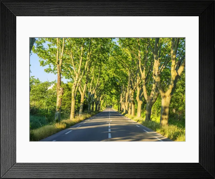 Framed Print : Alley near St. Remy de Provence, Bouches-du-Rhone, Provence-Alpes-Cote d'Azur, France