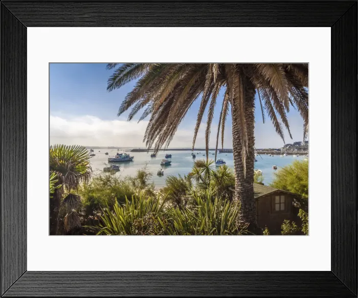 Framed Print : Port of the Ile de Batz, Finistere, Brittany, France Framed Print : Port of the Ile de Batz, Finistere, Brittany, France
