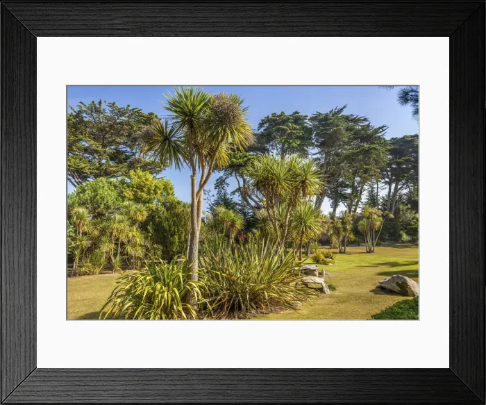 Framed Print : Jardin Exotique on the Ile de Batz, Finistere, Brittany, France Framed Print : Jardin Exotique on the Ile de Batz, Finistere, Brittany, France