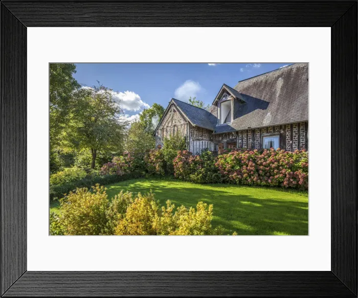 Framed Print : Hydrangea garden in front of an old farm in Gonneville-sur-Honfleur, Calvados, Normandy Framed Print : Hydrangea garden in front of an old farm in Gonneville-sur-Honfleur, Calvados, Normandy