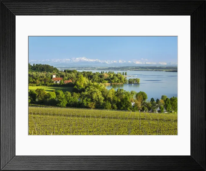 Framed Print : View over Lake Constance to Swiss Alps with Santis (2502m), Unteruhldingen, Upper Swabia, Baden Wurttemberg, Germany