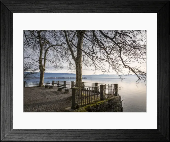 Framed Print : Bank promenade of Bad Schachen, Lindau on Lake Constance, Swabia, Bavaria, Germany Framed Print : Bank promenade of Bad Schachen, Lindau on Lake Constance, Swabia, Bavaria, Germany