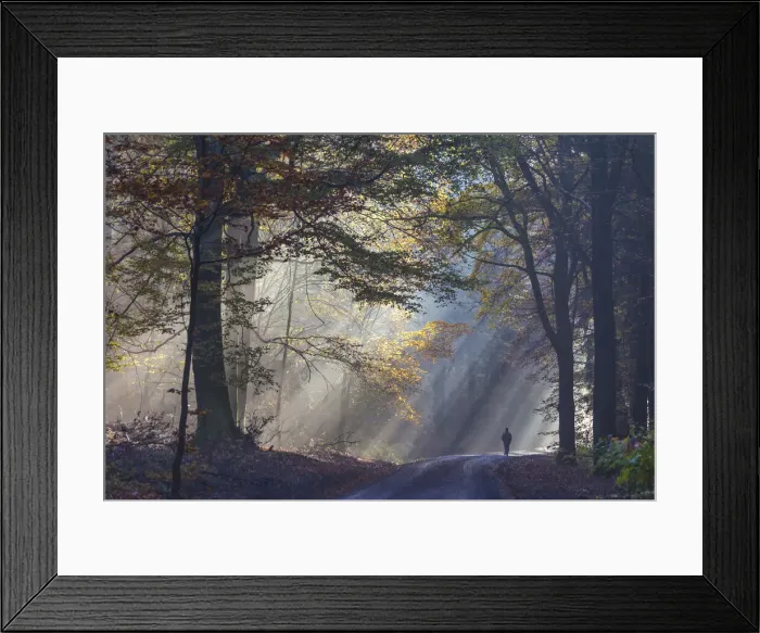 Framed Print : Sun breaks through the fog - in the Rheingau-Taunus Nature Park near Engenhahn Framed Print : Sun breaks through the fog - in the Rheingau-Taunus Nature Park near Engenhahn