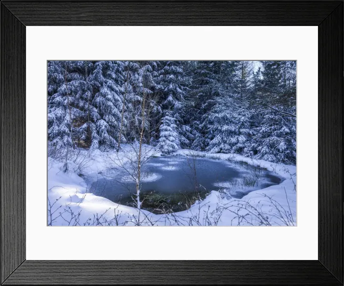 Framed Print : Small icy pond in the Rheingau-Taunus Nature Park near Engenhahn, Niedernhausen, Hesse Framed Print : Small icy pond in the Rheingau-Taunus Nature Park near Engenhahn, Niedernhausen, Hesse