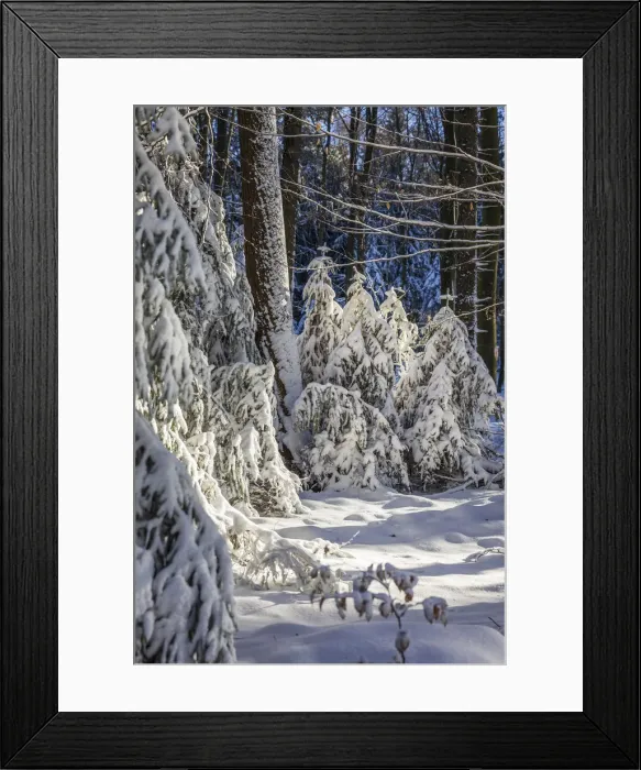 Framed Print : Snow-covered winter forest in the Rheingau-Taunus Nature Park near Engenhahn Framed Print : Snow-covered winter forest in the Rheingau-Taunus Nature Park near Engenhahn