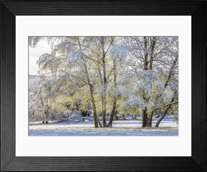 Framed Print : Late snow in April in the Rheingau-Taunus Nature Park above Engenhahn, Niedernhausen Framed Print : Late snow in April in the Rheingau-Taunus Nature Park above Engenhahn, Niedernhausen