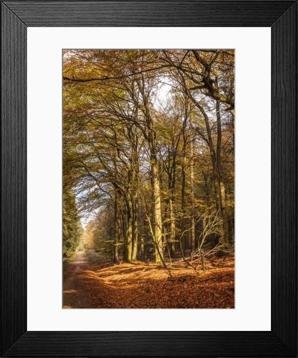 Framed Print : Autumn in the Rheingau-Taunus Nature Park, Niedernhausen, Hesse, Germany Framed Print : Autumn in the Rheingau-Taunus Nature Park, Niedernhausen, Hesse, Germany