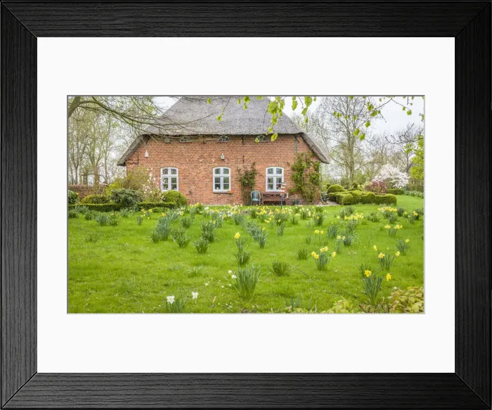 Framed Print : Thatched roof courtyard in North Friesland near Tonning, North Friesland, Schleswig-Holstein, Germany Framed Print : Thatched roof courtyard in North Friesland near Tonning, North Friesland, Schleswig-Holstein, Germany