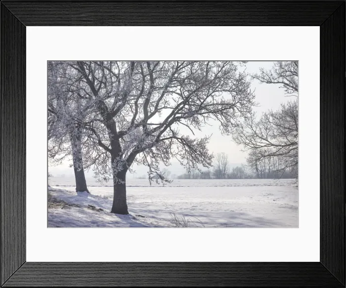 Framed Print : Winter landscape near Chieming am Chiemsee, Upper Bavaria, Bavaria, Germany Framed Print : Winter landscape near Chieming am Chiemsee, Upper Bavaria, Bavaria, Germany