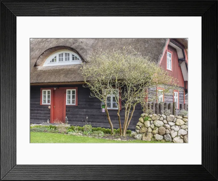 Framed Print : Thatched-roof house in Wieck am Darss, Mecklenburg-Western Pomerania, Northern Germany Framed Print : Thatched-roof house in Wieck am Darss, Mecklenburg-Western Pomerania, Northern Germany