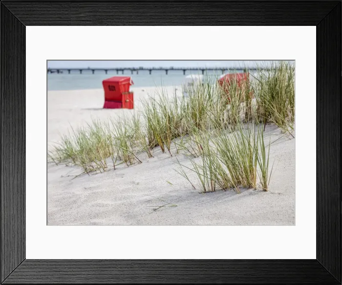 Framed Print : Dunes and beach chairs in Zingst, Mecklenburg-Western Pomerania, Northern Germany Framed Print : Dunes and beach chairs in Zingst, Mecklenburg-Western Pomerania, Northern Germany
