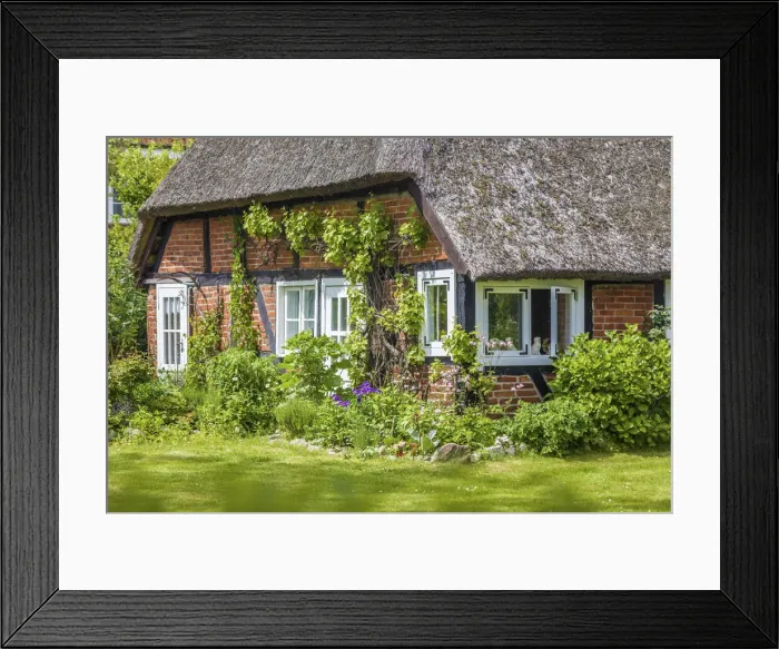 Framed Print : Old thatched roof courtyard in Zingst, Mecklenburg-Western Pomerania, Northern Germany Framed Print : Old thatched roof courtyard in Zingst, Mecklenburg-Western Pomerania, Northern Germany