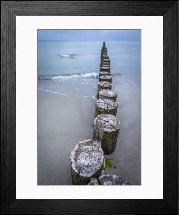 Framed Print : Old groynes on the beach in Zingst, Mecklenburg-Western Pomerania, Northern Germany Framed Print : Old groynes on the beach in Zingst, Mecklenburg-Western Pomerania, Northern Germany