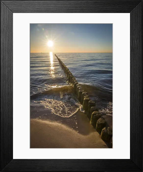 Framed Print : Groynes and sunset on Darss West Beach, Mecklenburg-Western Pomerania, Northern Germany Framed Print : Groynes and sunset on Darss West Beach, Mecklenburg-Western Pomerania, Northern Germany