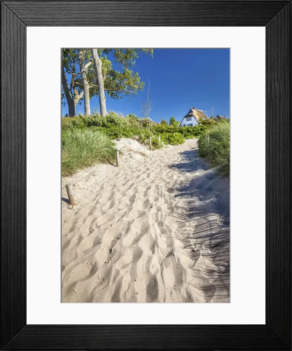 Framed Print : Path to the beach in Ahrenshoop, Mecklenburg-Western Pomerania, Northern Germany, Germany Framed Print : Path to the beach in Ahrenshoop, Mecklenburg-Western Pomerania, Northern Germany, Germany